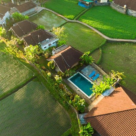 Ubud Glassy Villa By Pramana Villas Eksteriør bilde